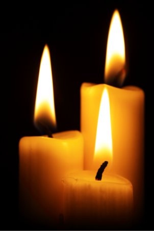 Profilbild von Irene Dietrich