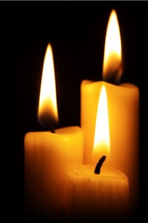 Profilbild von Reina Heisler